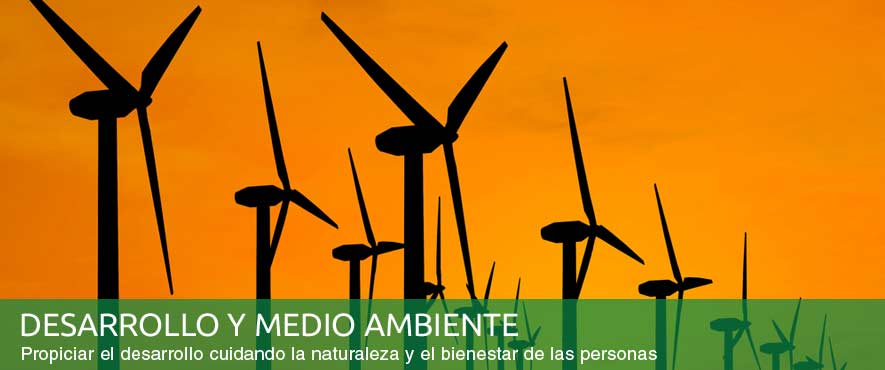 desarrollo