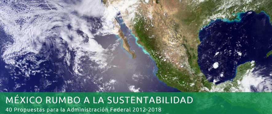 mexicorumbobanner mexicorumbobanner