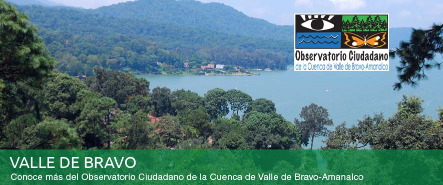 vallebanner