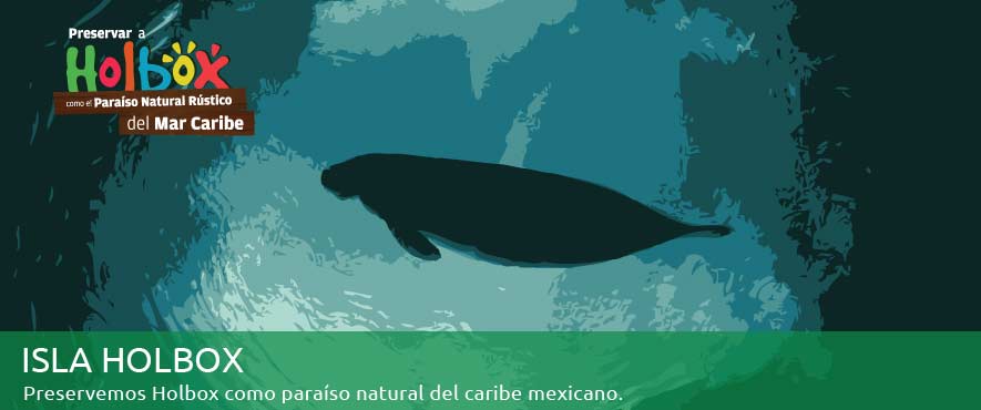 CEMDA_Banner_islaholbox