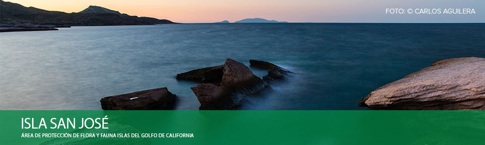 ISLA SAN JOSÉ